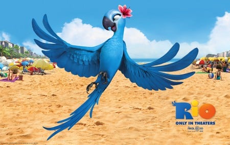 Rio - movie, rio, comedy, parrot