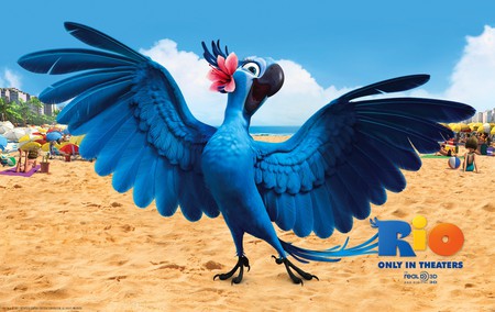 Rio - movie, rio, parrot, comedy