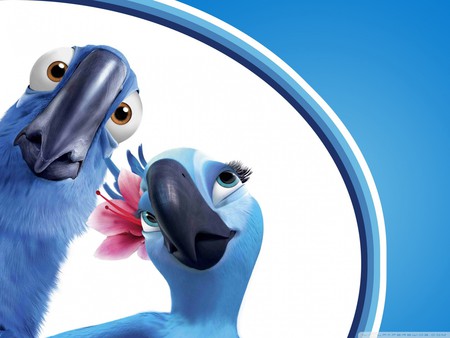 Rio - movie, rio, comedy, parrot