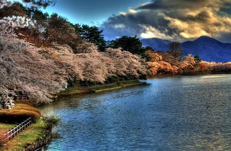 Lake - lake, trees, nature, sky