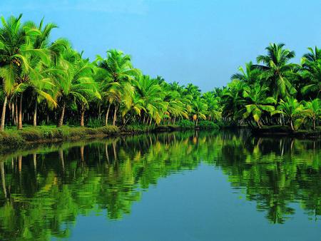 Reflection - sky, lake, reflection, palms, nature