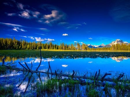 Lake - multicolor, lagoon, rivers, brown, scene, scenario, flowers, trunks, plants, aquatic plants, maroon, water lily, colors, natural, colours, laguna, pines, gray, green, blue, amazing, roots, leaves, forests, view, sky, clouds, water, photoshop, cool, colorful, scenery, nice, beije, paysage, fullscreen, white, picture, paisage, mounts, nature, background, lakes, wallpaper, reflections, landscape, grass, photo, desktop, mirror, hd, branches, trees, image, beautiful, photography, reflected, pc, peaks, paisagem, cenario, awesome, cena, panorama, multi-coloured, leaf, mountains