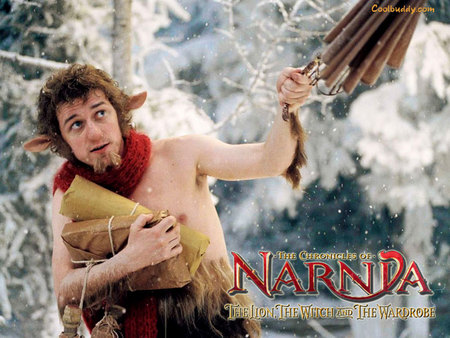 The Chronicles of Narnia - witch, wardrobe, movie, narnia, lion