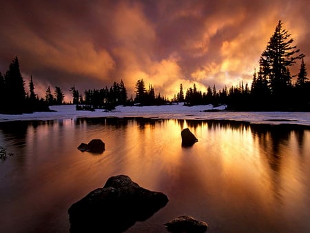 Clouds, Fire, Ice, Sky and Trees - pc, sun, sunbeam, colorful, fire, reflections, purple, evening, reflected, sunrays, laguna, branches, wallpaper, ambar, nature, aurora boreal, mirror, leaves, stones, pines, sunrises, aurora borealis, sky, trees, photography, image, brightness, black, rocks, calm, lagoon, desktop, ice, sunlight, forests, violet, lightness, natural, amber, sundown, wood, lakes, view, sunny, afternoon, golden, roots, blacj, light, multi-coloured, maroon, snow, dawn, photoshop, bronze, sunshine, water, leaf, brown, multicolor, clouds, sunsets, orange, rivers, icy, fullscreen, background, night, aurora, gold, serenity, bright, forces of nature, colours, grove, colors, photo