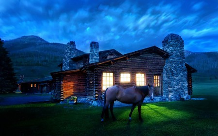 Horse at night - house, horses, green, grass, night, horse, dark