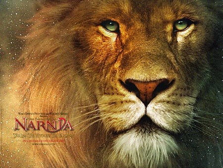 The Chronicles of Narnia - witch, wardrobe, lion, movie, narnia