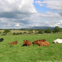 Ribble Valley England