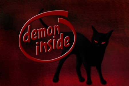 Demon Black Cat - feline, evil, cat, demon