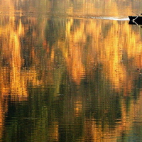 On Golden Pond