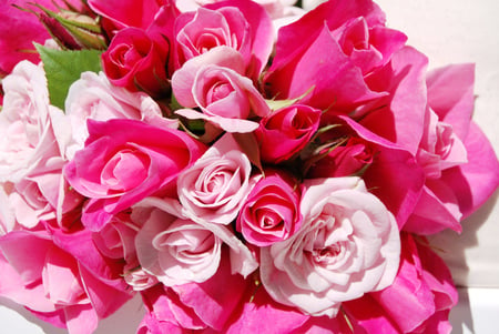 Pinky - still life, roses, arrangement, pink