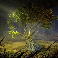 MYSTIC TREE