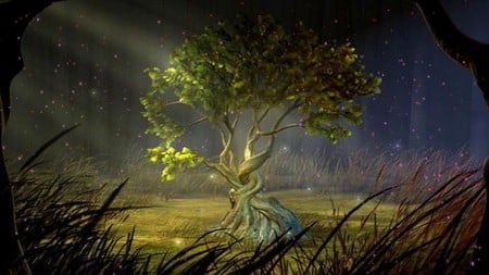 MYSTIC TREE