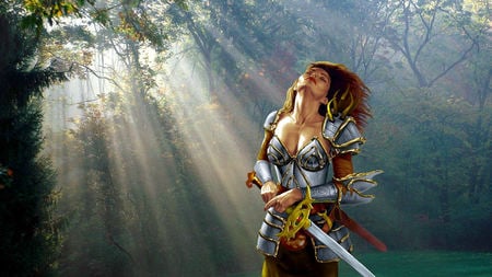 Neverwinter Nights - swords, female, girl, video game, fantasy, sunlights, hd, neverwinter nights, forest, 3d, tree