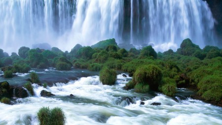 beauty of the falls - beauty, nature, trees, water, wet, green, tropical, waterfall