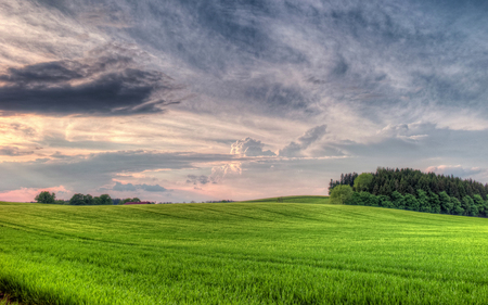 Landscape - clouds, trees, landscape, grass, colors, sunset, nature, field, sky