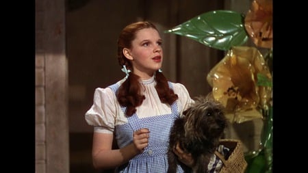 The Wizard of Oz - movie, wizard, emerald city, oz