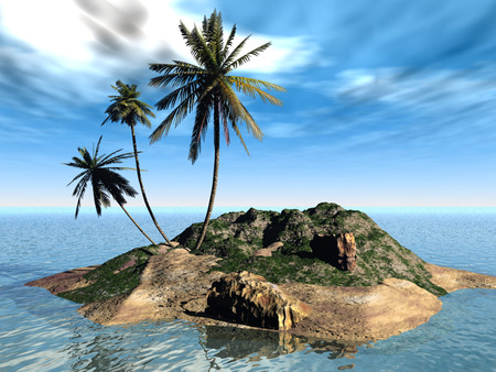 island with palms - island with palms in seas