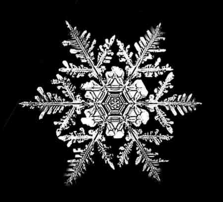 the star of david in the snow - Winter & Nature Background Wallpapers on Desktop Nexus (Image 67194)