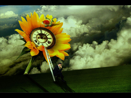 Abstract Wallpaper !!! - abstract, step, 3d-art, dark, sunflower, cloud, background, fish, sky