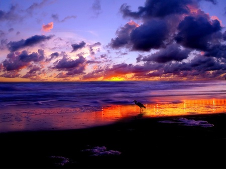 beach sunset  - sunset