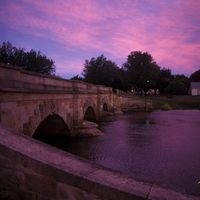 Purple Sunset