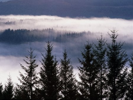 Scotland - Glen Garry - misty, scotland, glen, dreamy