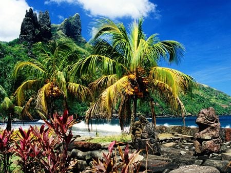 The Hatiheu Beach - french, polynesia, island, beach, palms, ocean