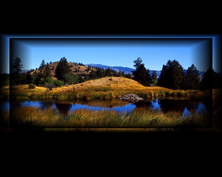 Beaver lodge - beaver, trees, water, nature, pond, rivers, scenic, mountains