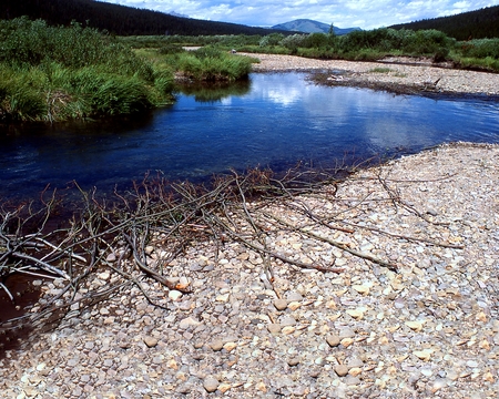 Beaver clippings - river, nature, mountains, photo, rocks