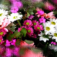 Mixed flowers