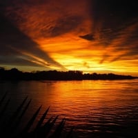 zambezi sunset 