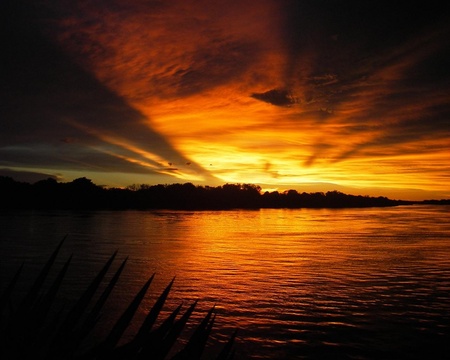 zambezi sunset  - zambezi-sunset-