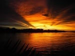 zambezi sunset 