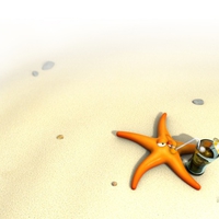 Starfish on the sand