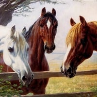 3-horses paint