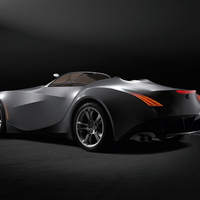 BMW Gina