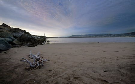 Ventura Driftwood - wood, beach, driftwood, beautiful, sea, rocks