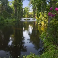 Bridge view