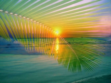 Colorful Morning - morning, sky, ocean, beach, sun, colorful, palm, shiny, abstract, 3d