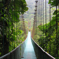 Monteverde Cloud Forest