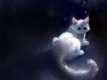 Fantasy cat