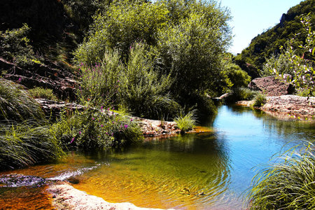 River - nature, rivers, forests, rocks