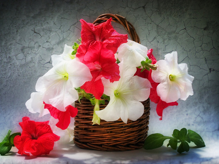 Flowers in basket - nature, colors, basket, flowers