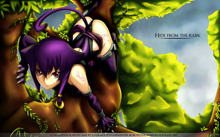 Hide from the Rain - beauty, sky, trees, thigh highs, hot, anime girl, purple, short hair, cute, nagi  ryou, claws, tail, sexy, neko, animal ears, purple hair, tattoos, catgirl, beautiful