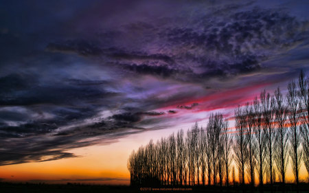 Autumn sunset - clouds, trees, sunset, autumn, moody, dark, sun