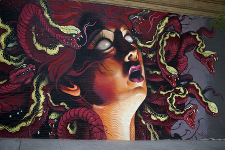 MADUSA STREET ART - madusa, young, head, snake