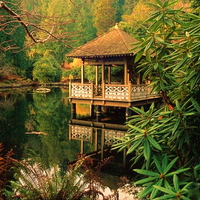 House reflected over the lake