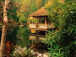 House reflected over the lake