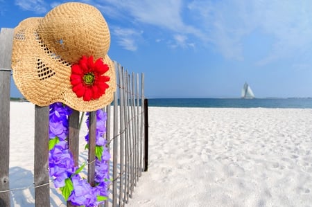 Summer Time - pretty, blossoms, summer, sand, flowers, holiday, sailship, exotic, paradise, nice, antigua and barbuda, blooms, delicate, vacation, white sands, summer time, beauty, colors, fence, flower, tropical, nature, sailboat, beach, red, view, sky, gerbera, clouds, hat, oceans, water, beautiful, beaches, red flower, sea, lovely, sweet, ocean, colorful, soft, sands, peaceful