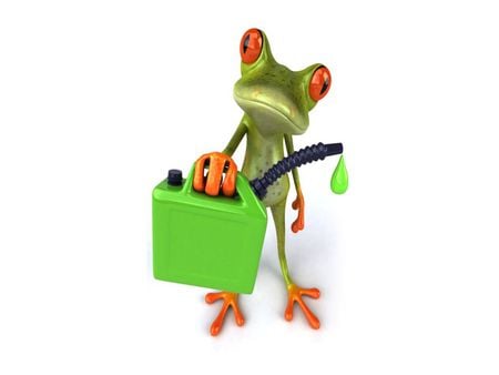 Frog Has Gas - 3d, animals, gas, frog